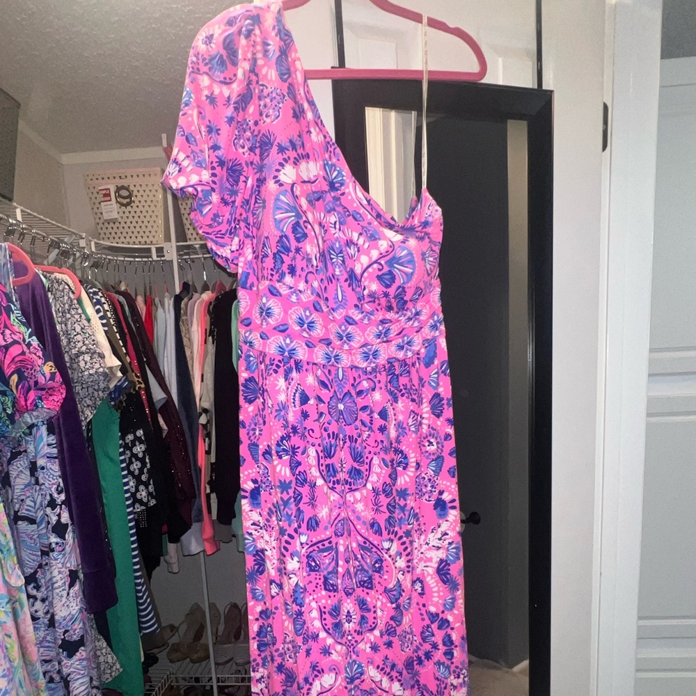 Lilly Maxi dress size XL worn once. New Without tags. No stains.